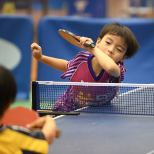 驚くべきホカバのレベルの高さの裏に潜む危うい実態