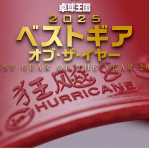 ベストギア・オブ・ザ・イヤー【裏ソフト】キョウヒョウ8-80　（紅双喜）